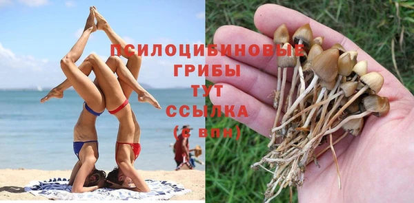 молекула духа Балахна