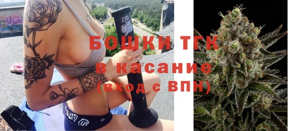 молекула духа Балахна