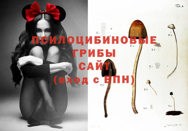 молекула духа Балахна